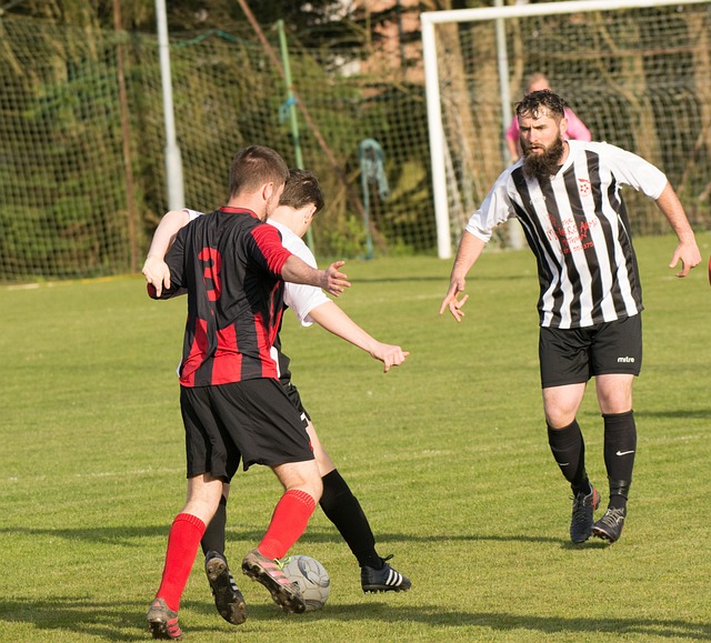 个百分点 个百分点