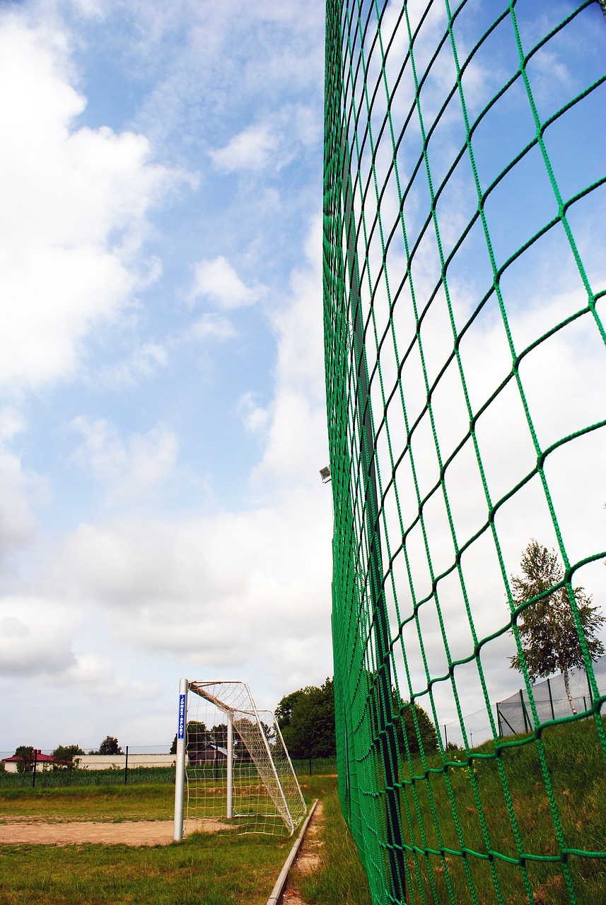 对他投资的 对他投资的