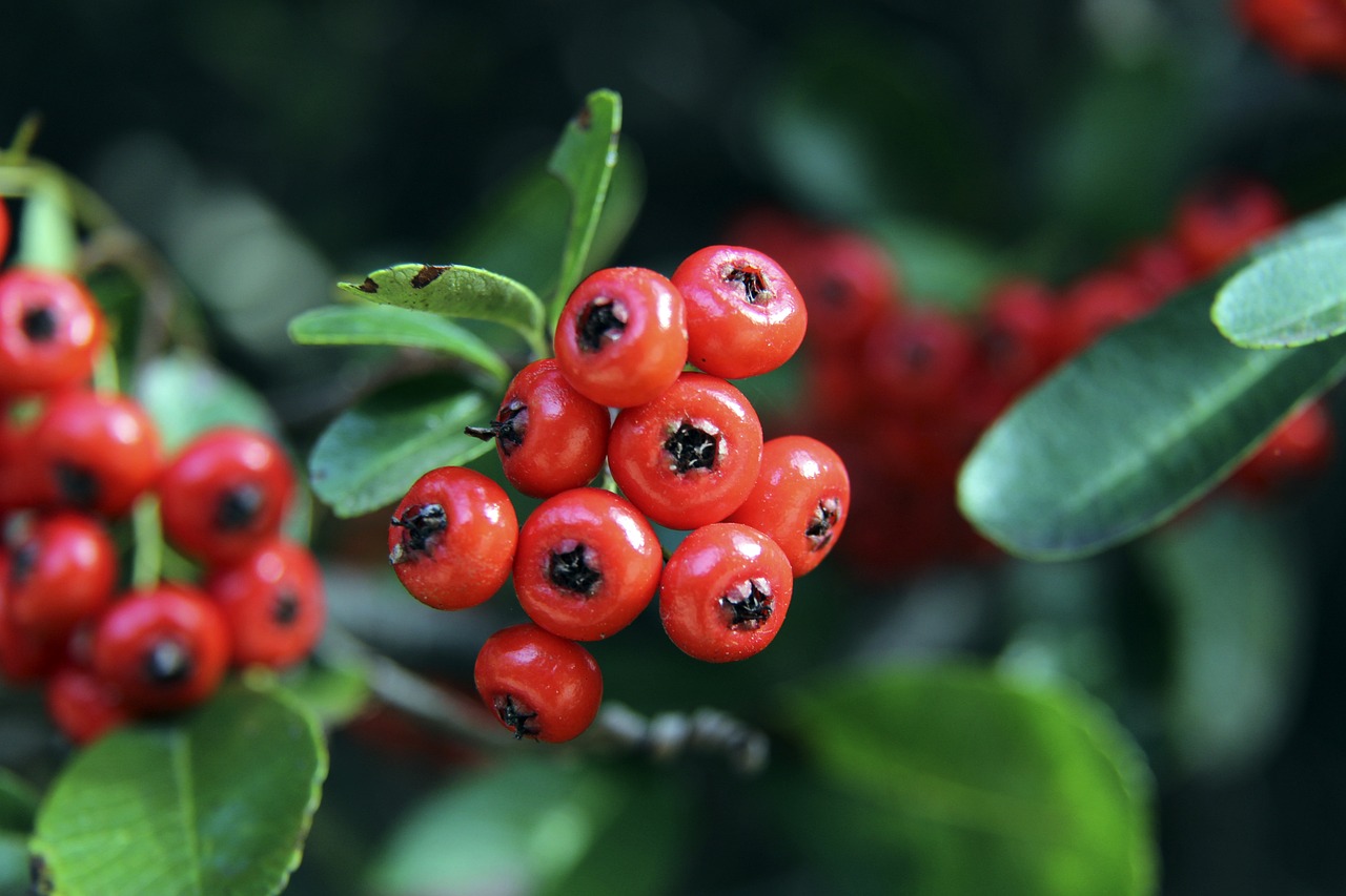 马竞开价 马竞开价